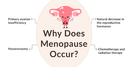 Why does menopause occur?